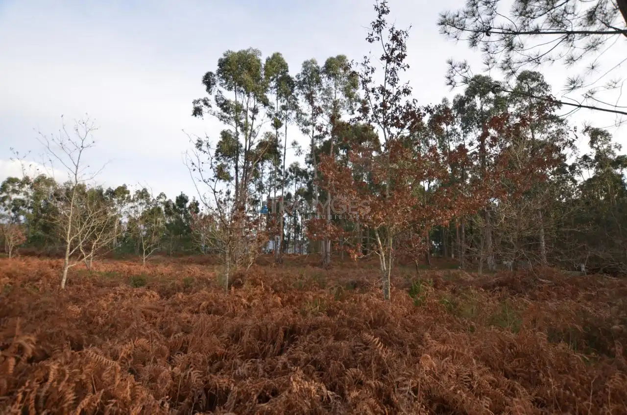Residential land for sale in LUGAR O MONTE, imagen 27