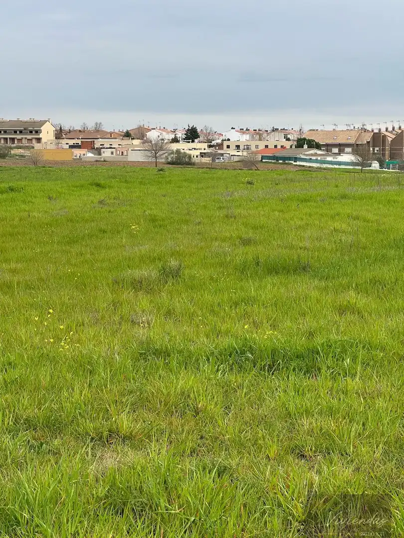 Terreny residencial en venda a El Viso de San Juan, imagen 7