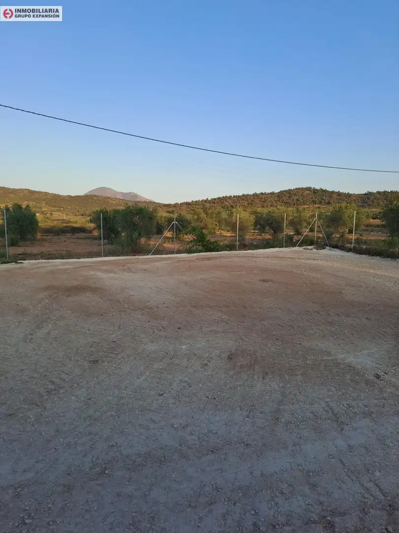 Casa o xalet en venda en El Pinós / Pinoso amb Aire condicionat, Calefacció i Jardí privat