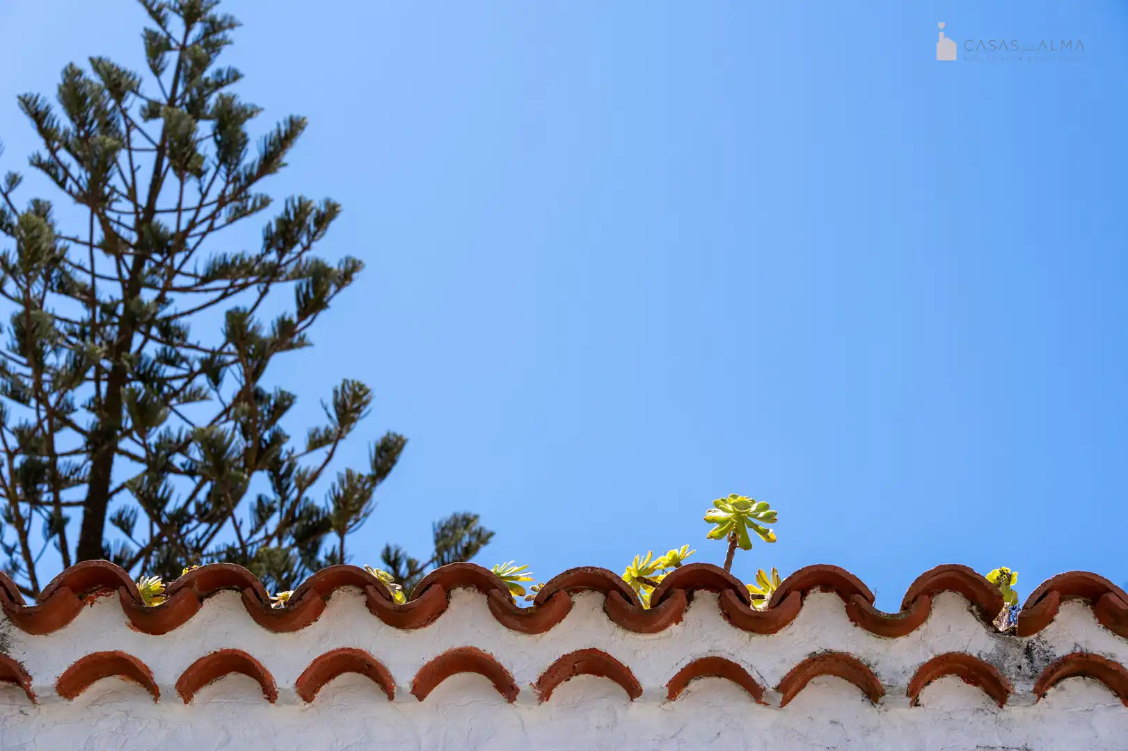 Vista exterior de Casa adosada en venda en Santa Brígida amb Jardí privat