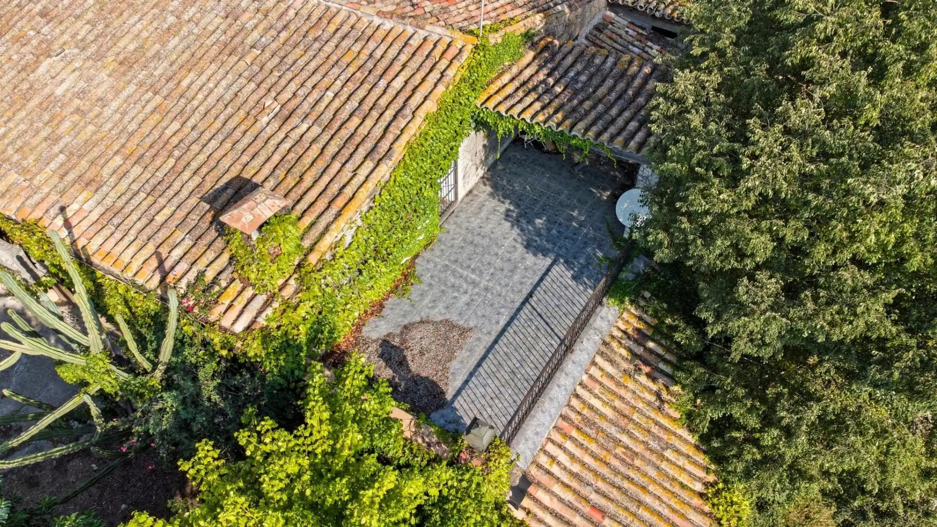 Chalet con piscina en venta en Manso Casanova #polígono 6 parcela13, imagen 8
