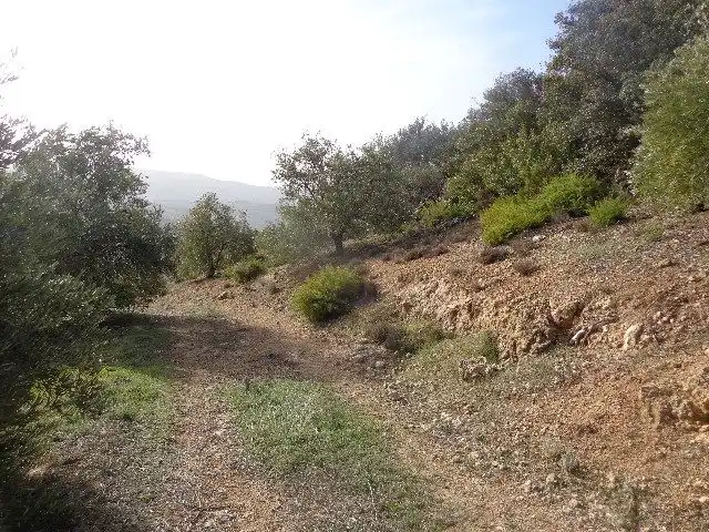 Terreni e lotti in vendita a Huelma, imagen 4