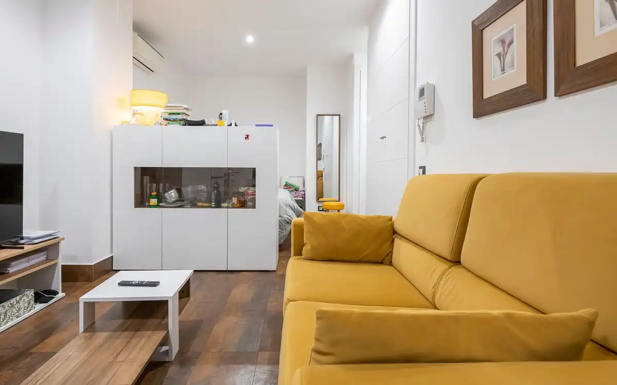 Studio with lift for sale in Calle del Cañaveral, imagen 2