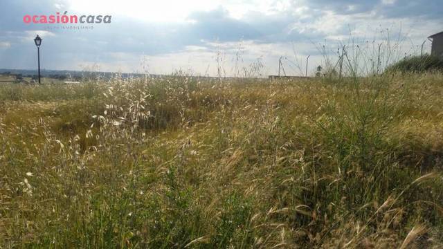 Terreno residencial en Venta en Pedroche