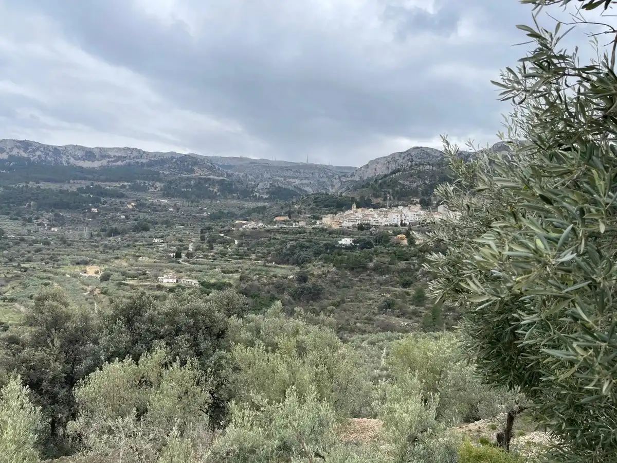 Maison rustique à vendre à Confrides, imagen 19