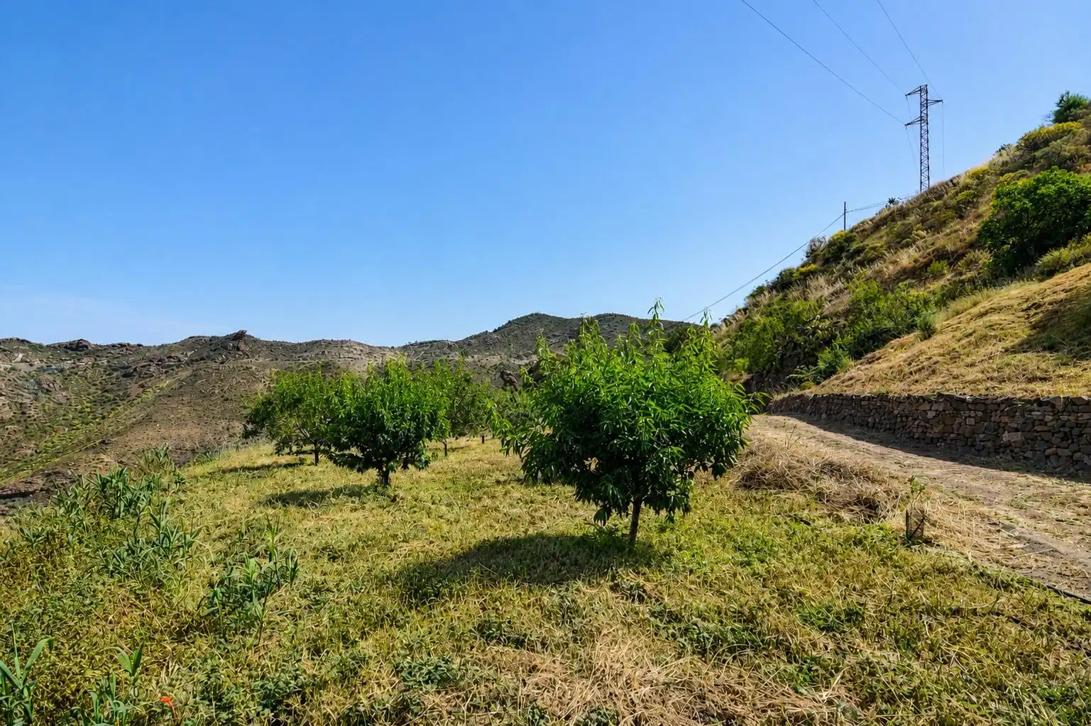 Finca rústica en venta en Tejeda con Terraza
