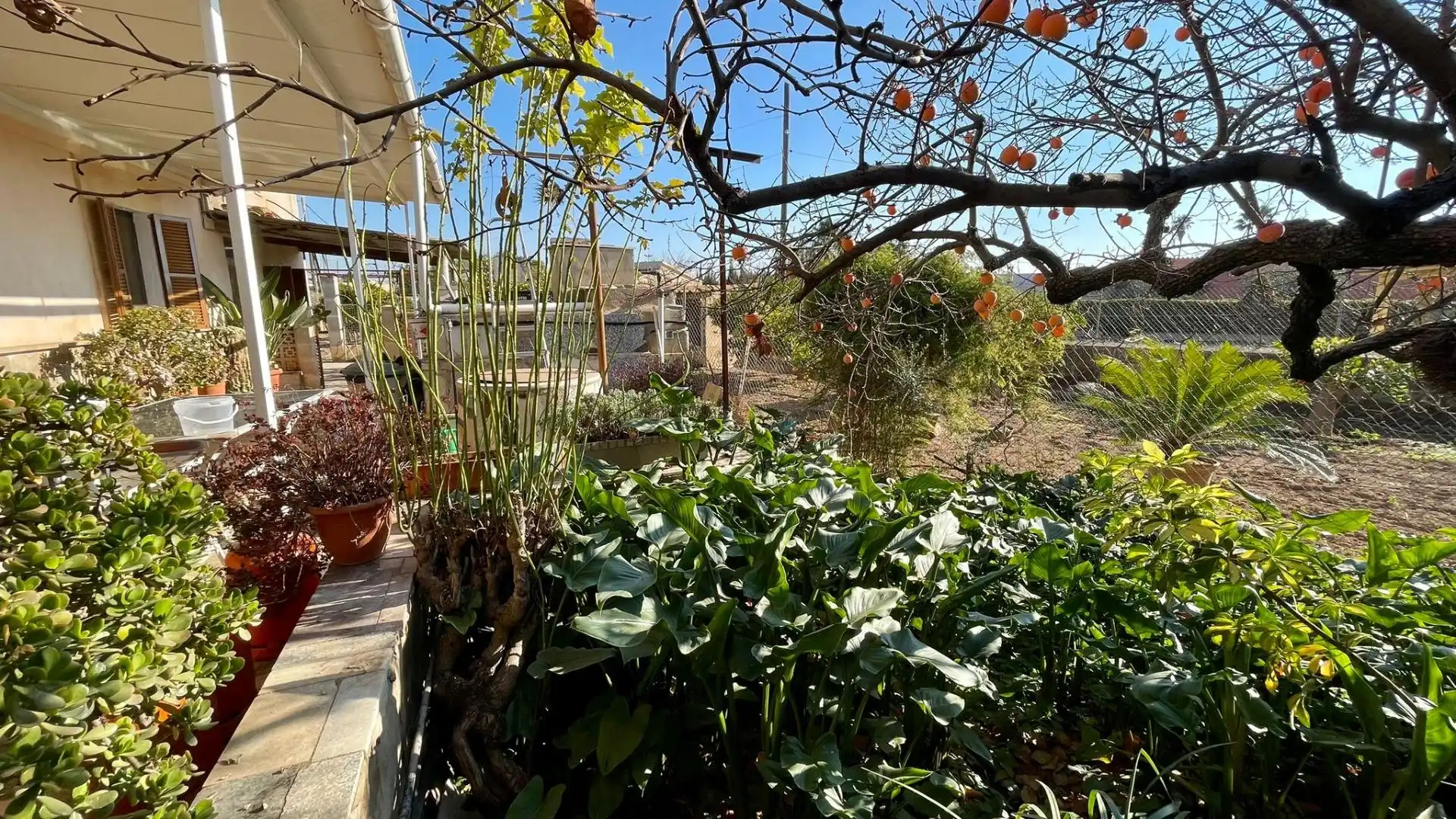 Country homes for sale in Sa Indioteria Rural