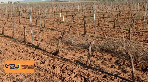 Finca Rúst. en venta en Carretera Daimiel., imatge 3