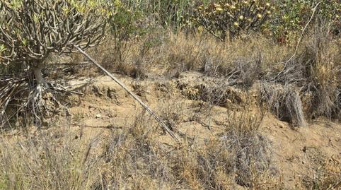 Photo 2 of Residential for sale in  Polígono 9 Paraje 150 Mondalon, 520, Marzagán - Los Hoyos - La Montañeta, Las Palmas