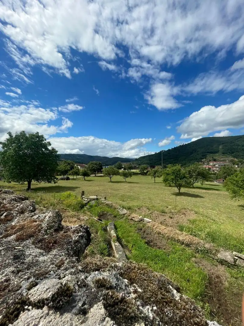 Land for sale in Ribadavia