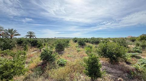 Foto 3 de Casa o xalet en venda a Callosa de Segura, Alicante