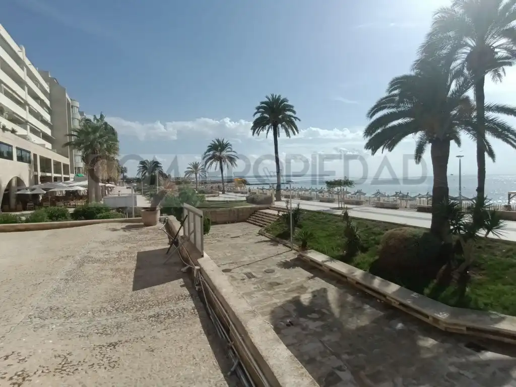 Vista exterior de Local en venta en  Palma de Mallorca