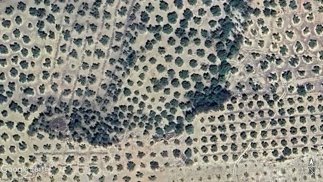 Terreni e lotti in vendita a Alhama de Granada