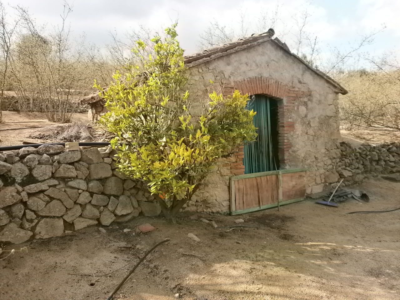 Exterior view of Land for sale in Vilaplana