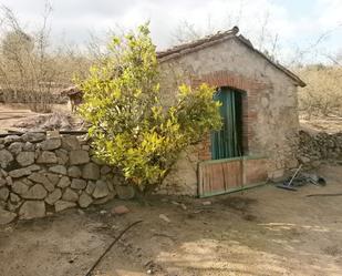 Exterior view of Land for sale in Vilaplana