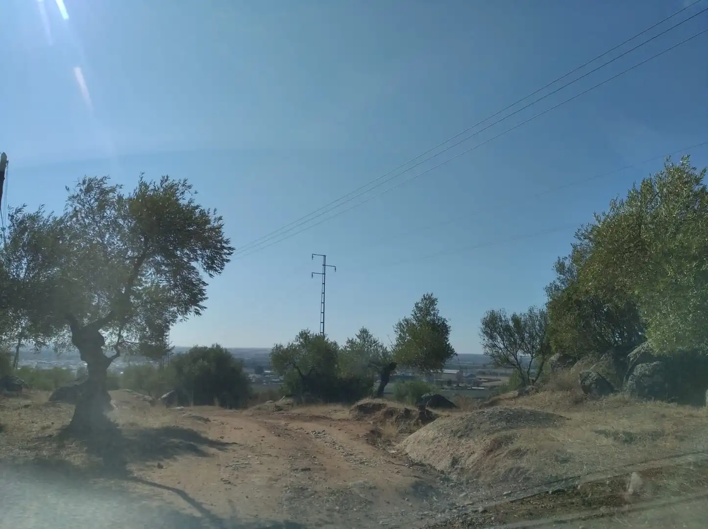 Land for sale in Calle Camino Sierra de la Cruz, 9, Lora del Río