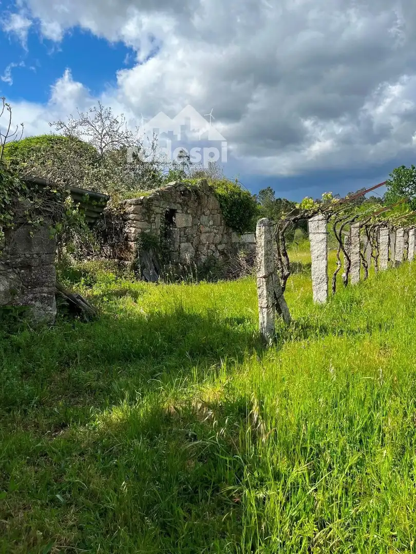 Terreny rústic en venda a Salvaterra de Miño, imagen 3