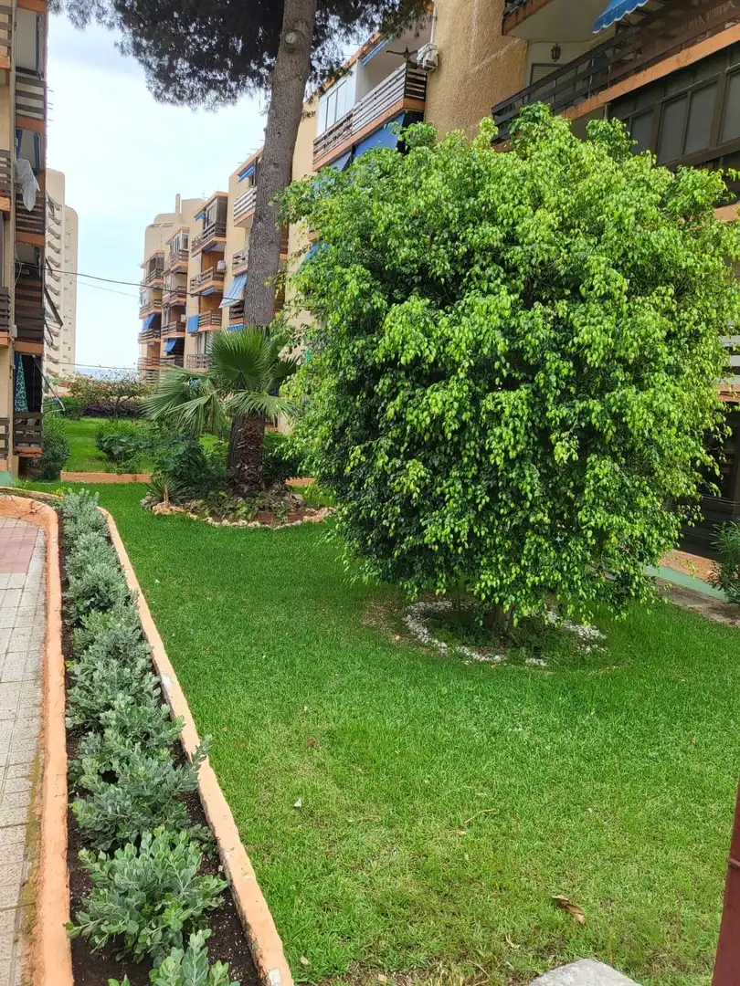 Loft de alquiler en El Campello con Jardín privado, Amueblado y Balcón