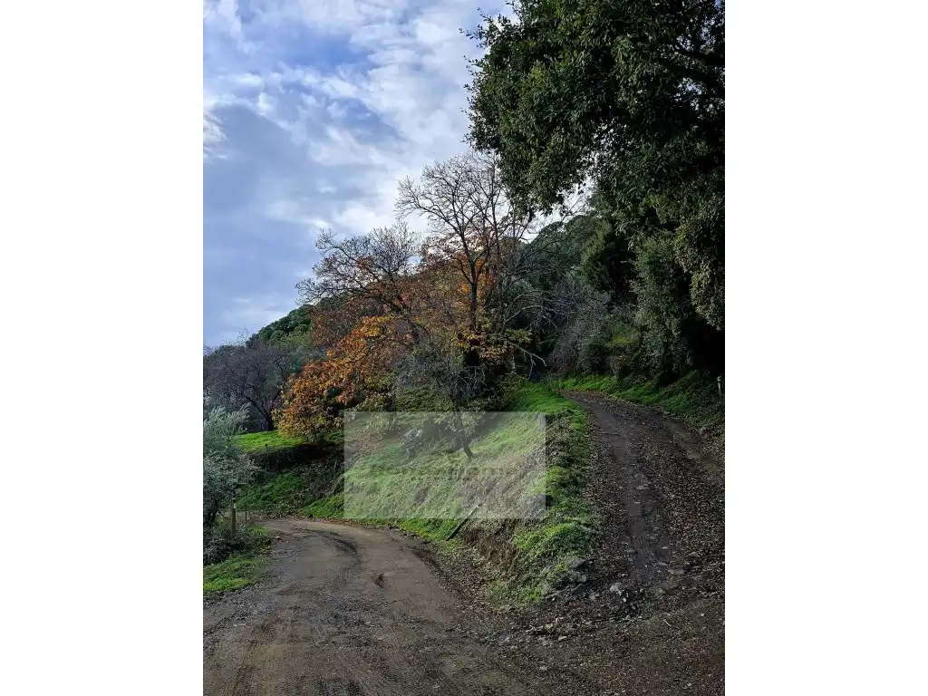 Finca rústica en venda a Poligono 2 Paraje 85 La Porrona, Jubrique