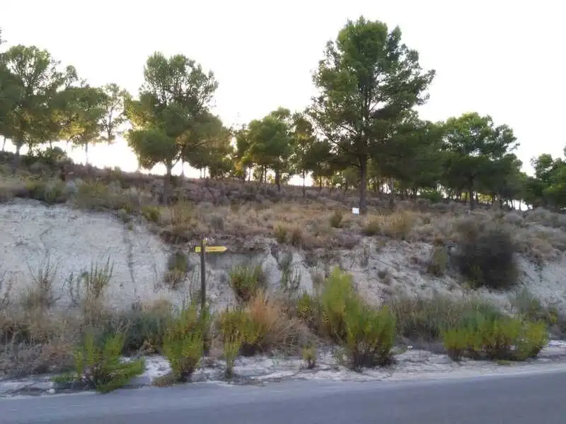 Terreny residencial en venda a TORREGUIL-, SECTOR B, PARCELA M9-2, imagen 10