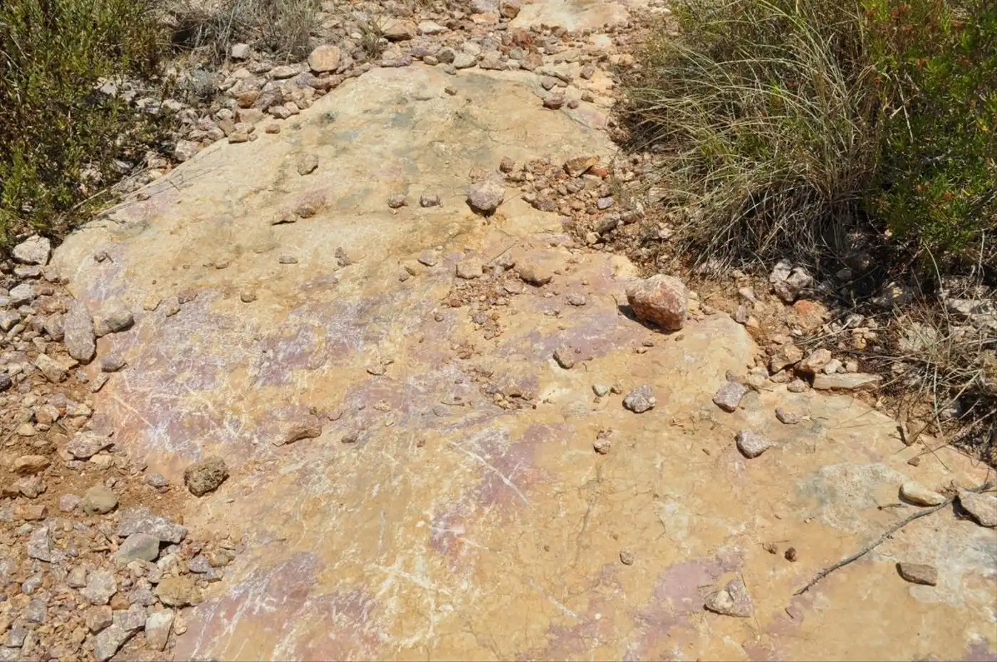 Land for sale in Camí del Barranc de la Llet, 26, Sant Llàtzer