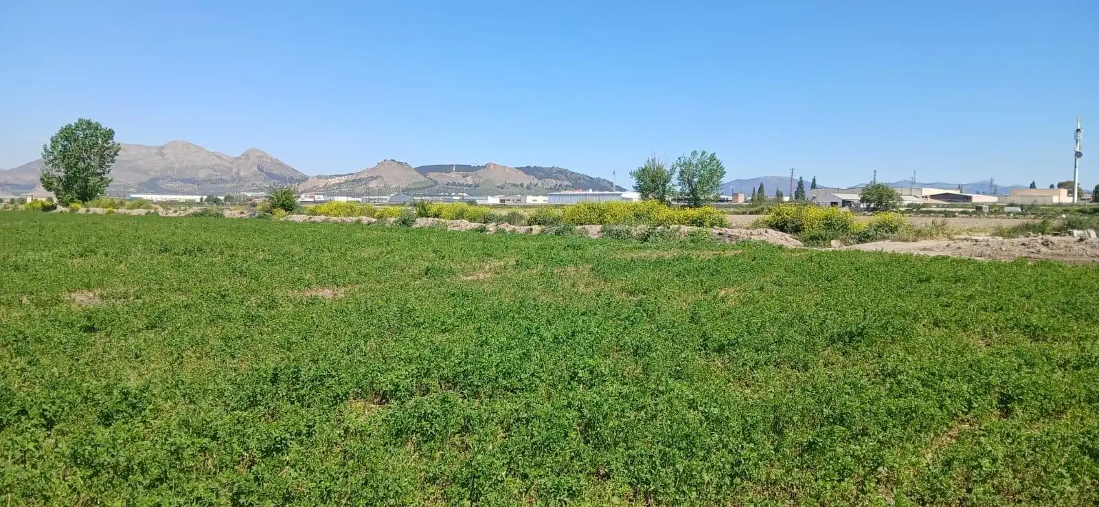 Grundstücke zum Verkauf in  Granada Capital