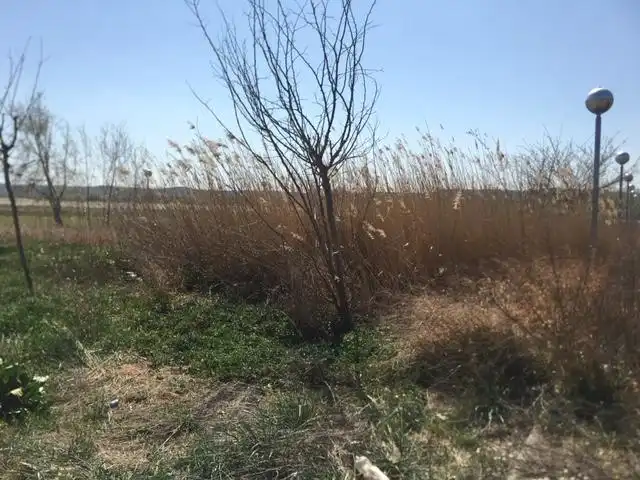 Residential for sale in Artesa de Lleida