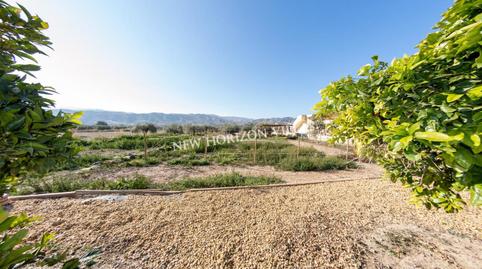 Foto 4 de Finca rústica en venda a Arboleas, Almería