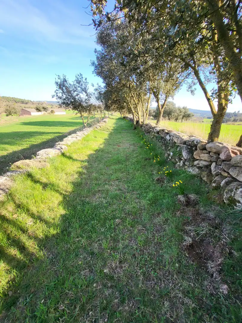 Terreno en venta en Pinell de Solsonès