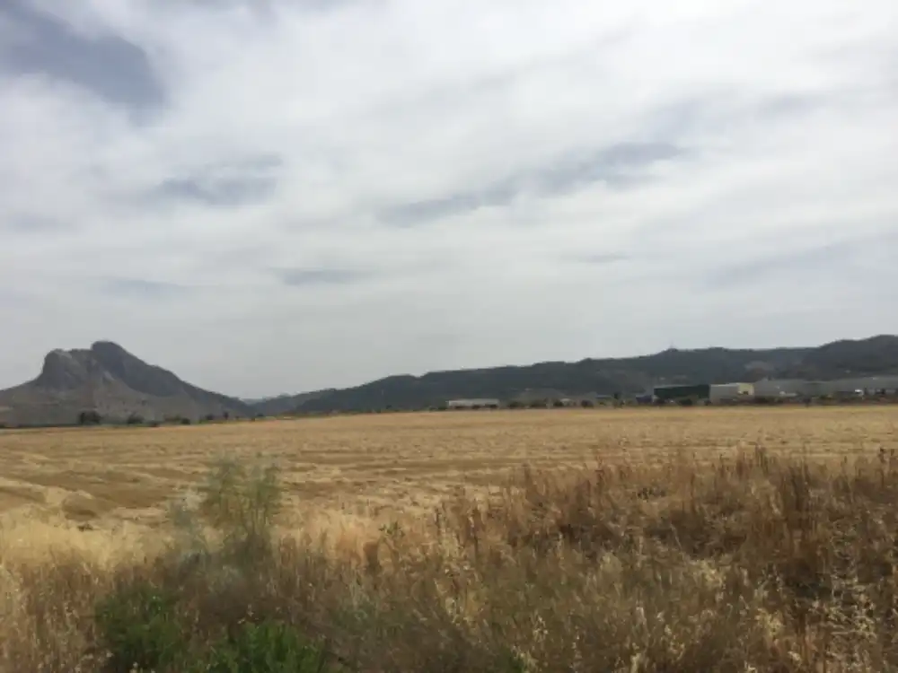 Terreni e lotti in vendita a C/ Camino viejo de la Fuensanta, imagen 14