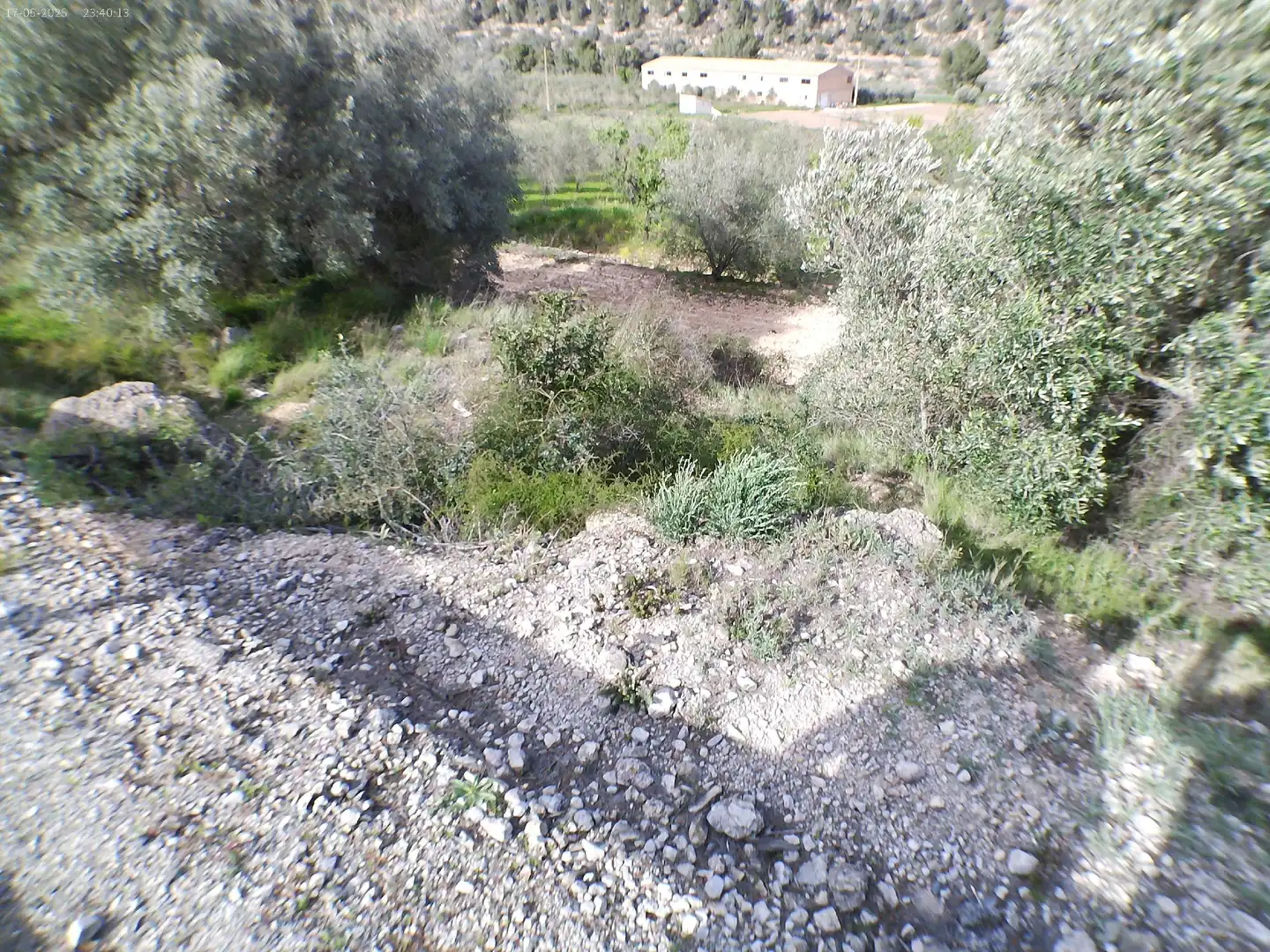 Rustikales Grundstück zum Verkauf in El Pinell de Brai, imagen 5