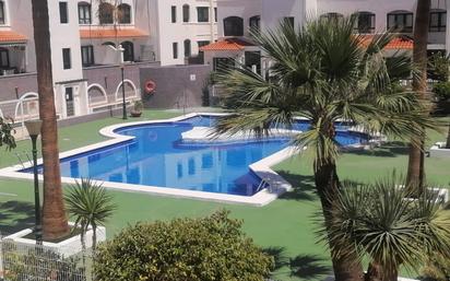 Swimming pool of Flat for sale in Güímar