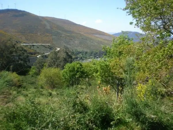 Terreno residenziale in vendita a A Cañiza, imagen 2