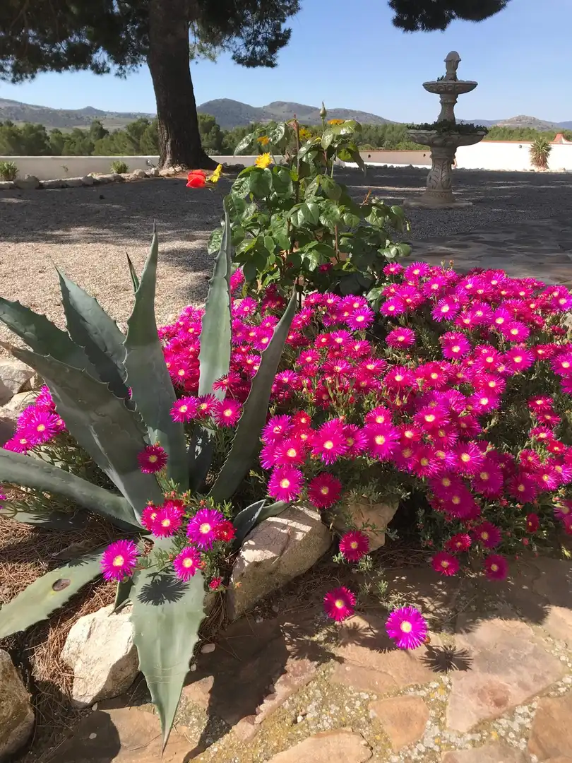 Country house for sale in Chirivel, imagen 9