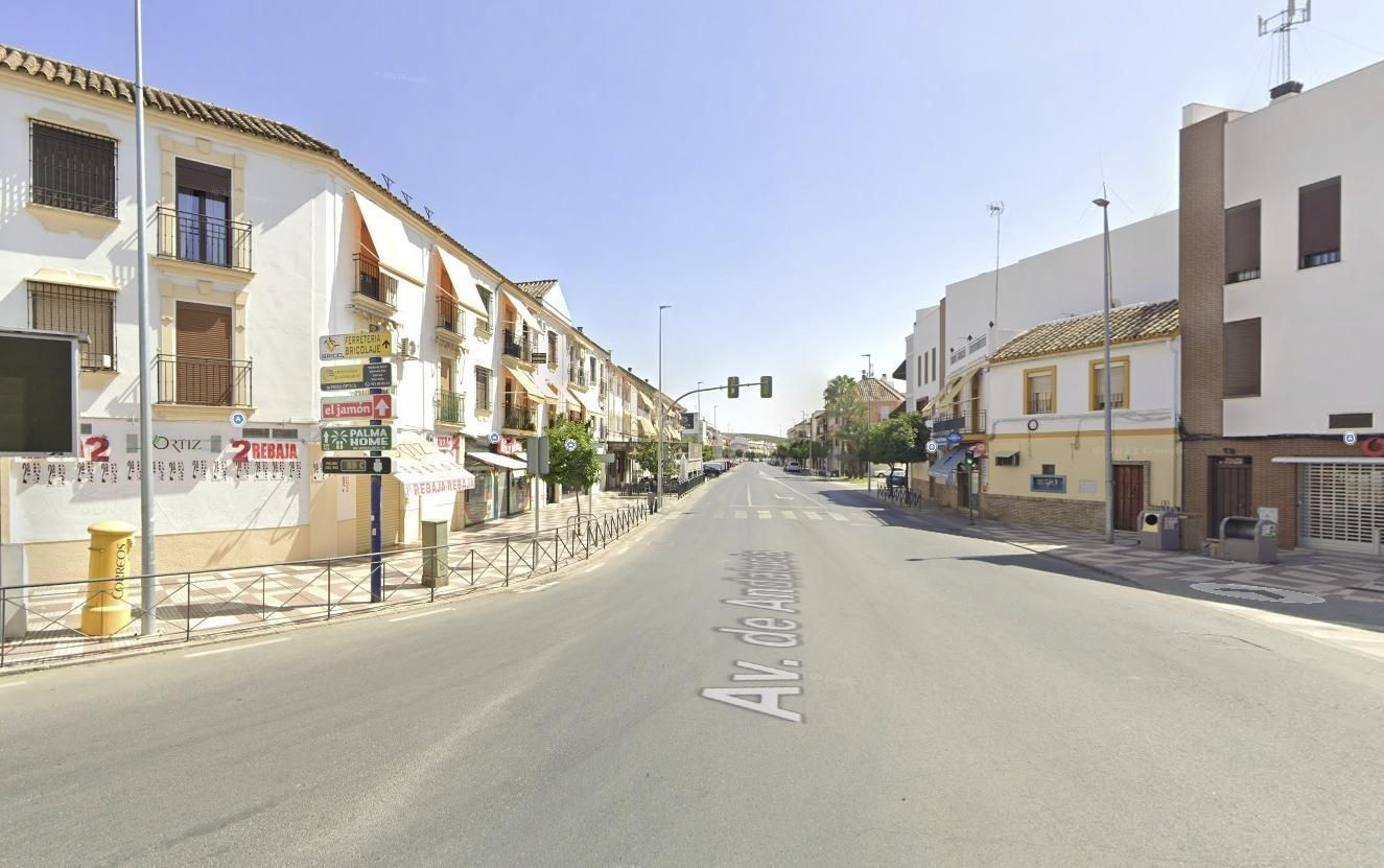 Exterior view of Office for sale in Palma del Río