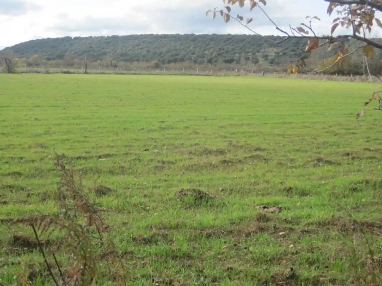 Terreno residencial en venta en Carretera AGUEDA, imagen 7