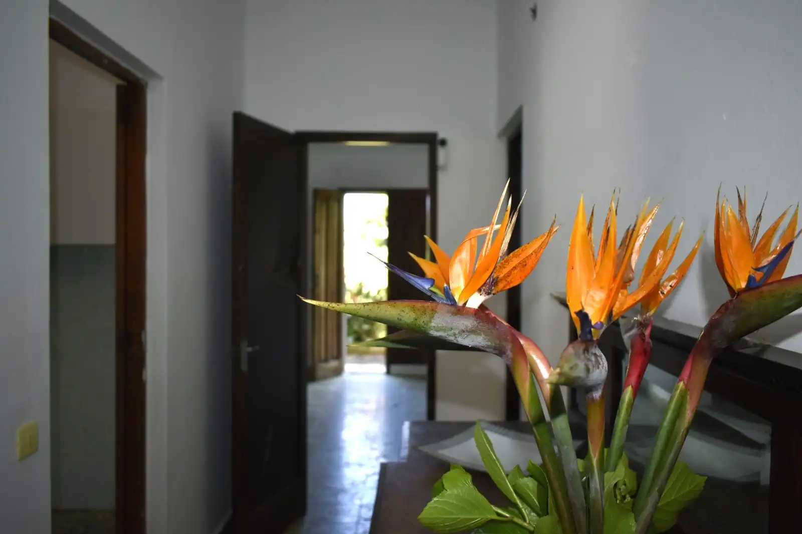 Casa o chalet en venta en Teror con Jardín privado