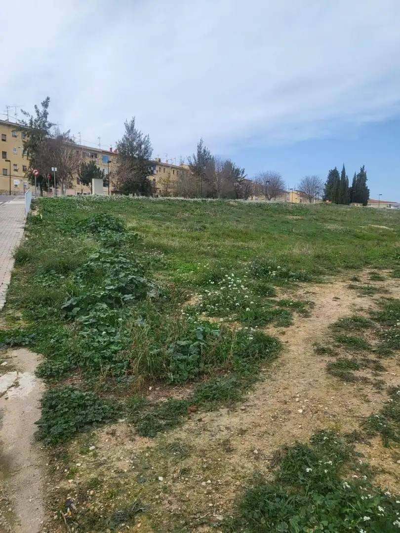 Terreni e lotti in vendita a Albaida, imagen 4