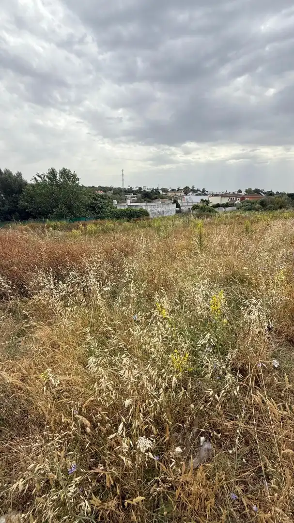 Rural land for sale in El Juncal - Vallealto, imagen 5