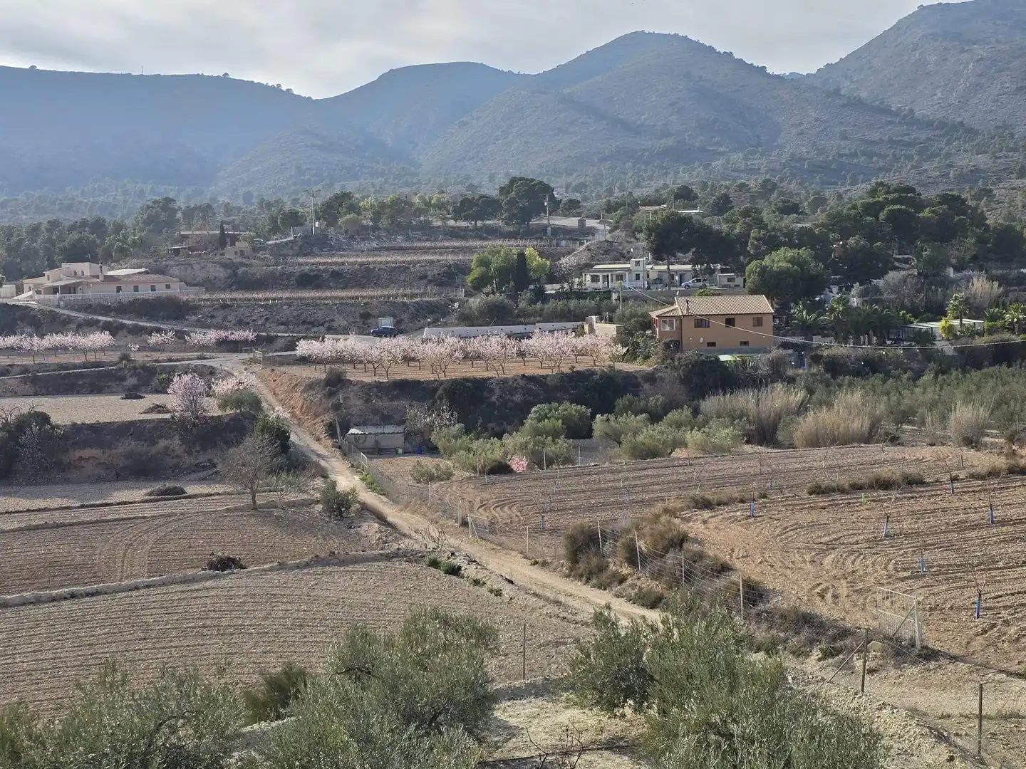 Rural land for sale in Novelda, imagen 8