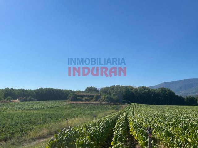 Casa-chalet en Venta en N/A en Talaveruela de la Vera