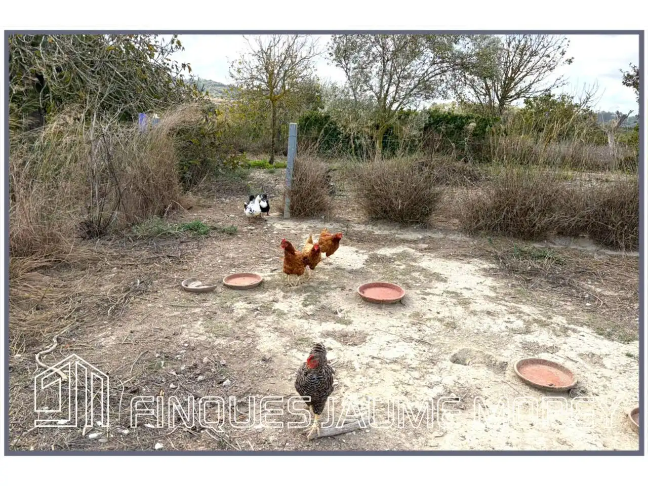 Finca rústica en venta en Maria de la Salut con Jardín privado