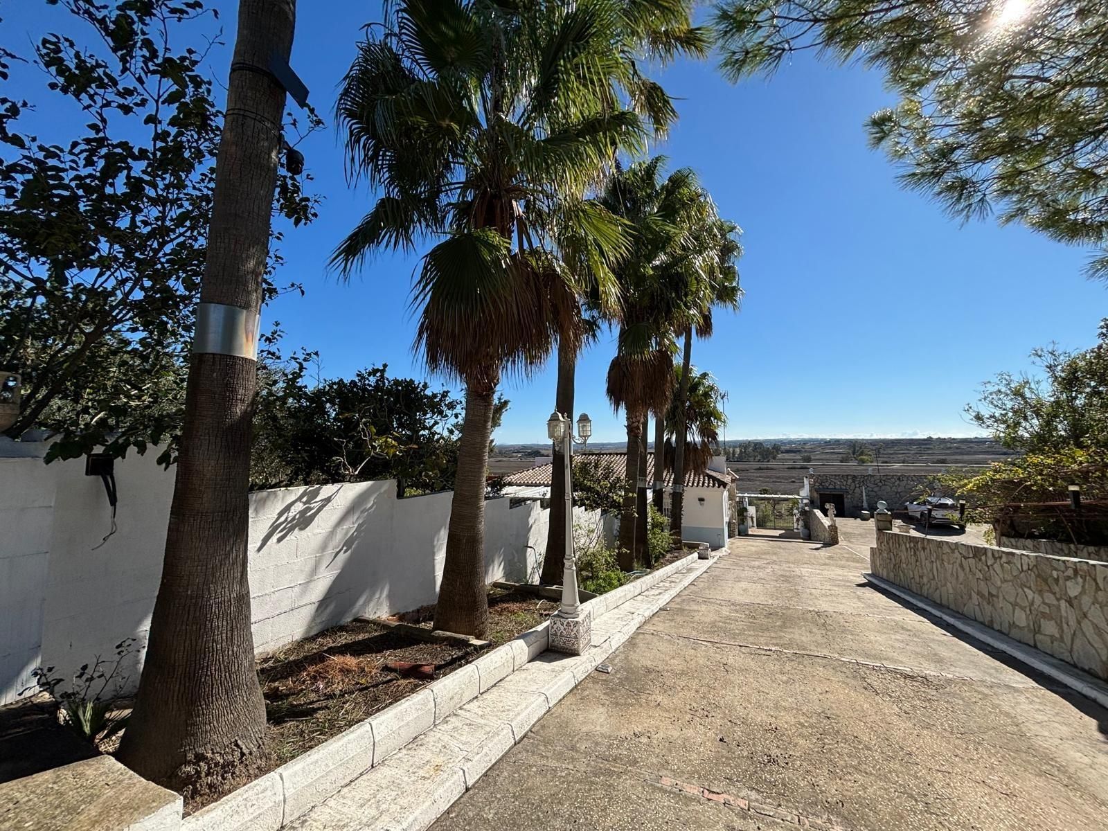 Vista exterior de Casa o chalet en venta en Chiclana de la Frontera