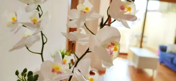 Flat for sale in Dénia  with Air Conditioner, Heating and Private garden