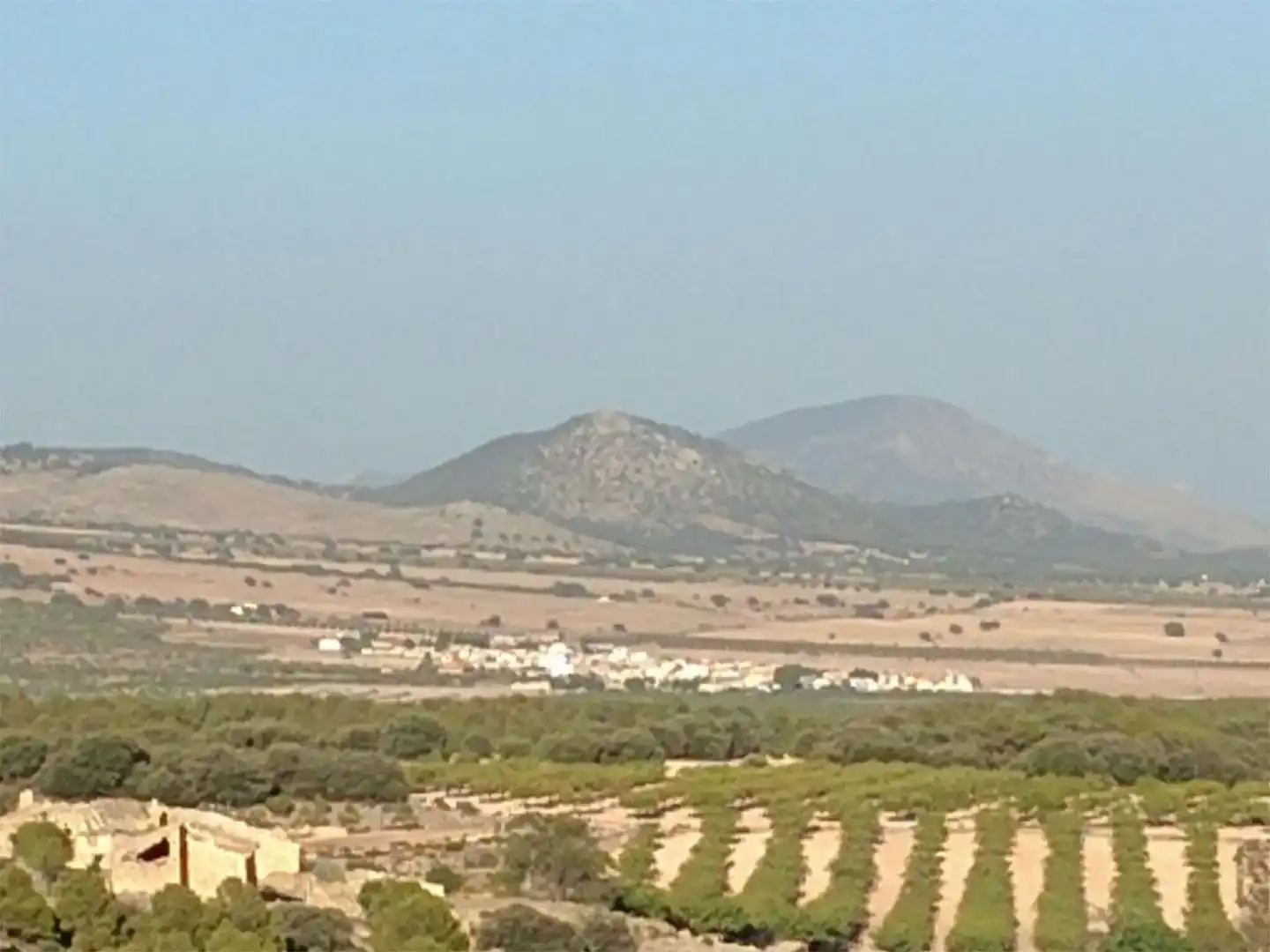 Vista exterior de Planta baja en venta en Moratalla con Amueblado