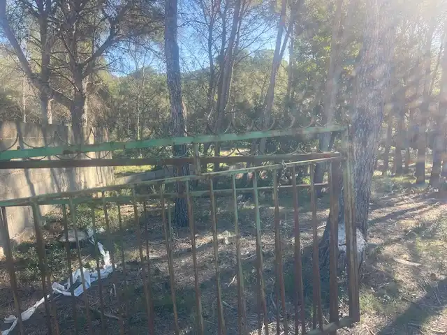 Rural land for sale in Sagunto ciudad