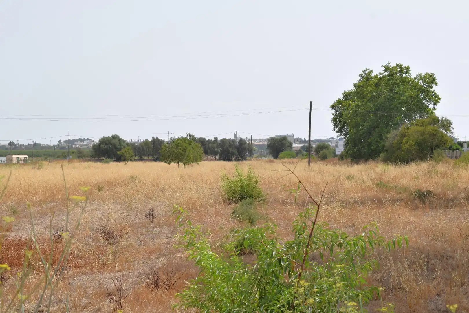 Terreny residencial en venda a Santa María del Camí, imagen 13
