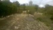 Rural land for sale in Avenida ALCOY, imagen 2