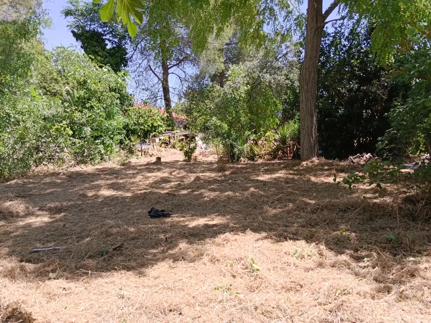 Casa o xalet en venda en Illana amb Jardí privat, Terrassa i Piscina