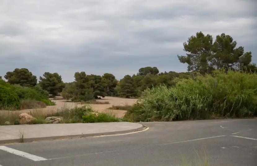 Terreno rustico in vendita a Carrer de la Cigonya 16, imagen 7